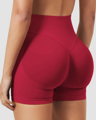 Women's Tummy Control High Waist Seamless Sport Shorts