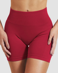 Women's Tummy Control High Waist Seamless Sport Shorts