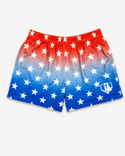 Curve Fit Printed Mesh Shorts for Women