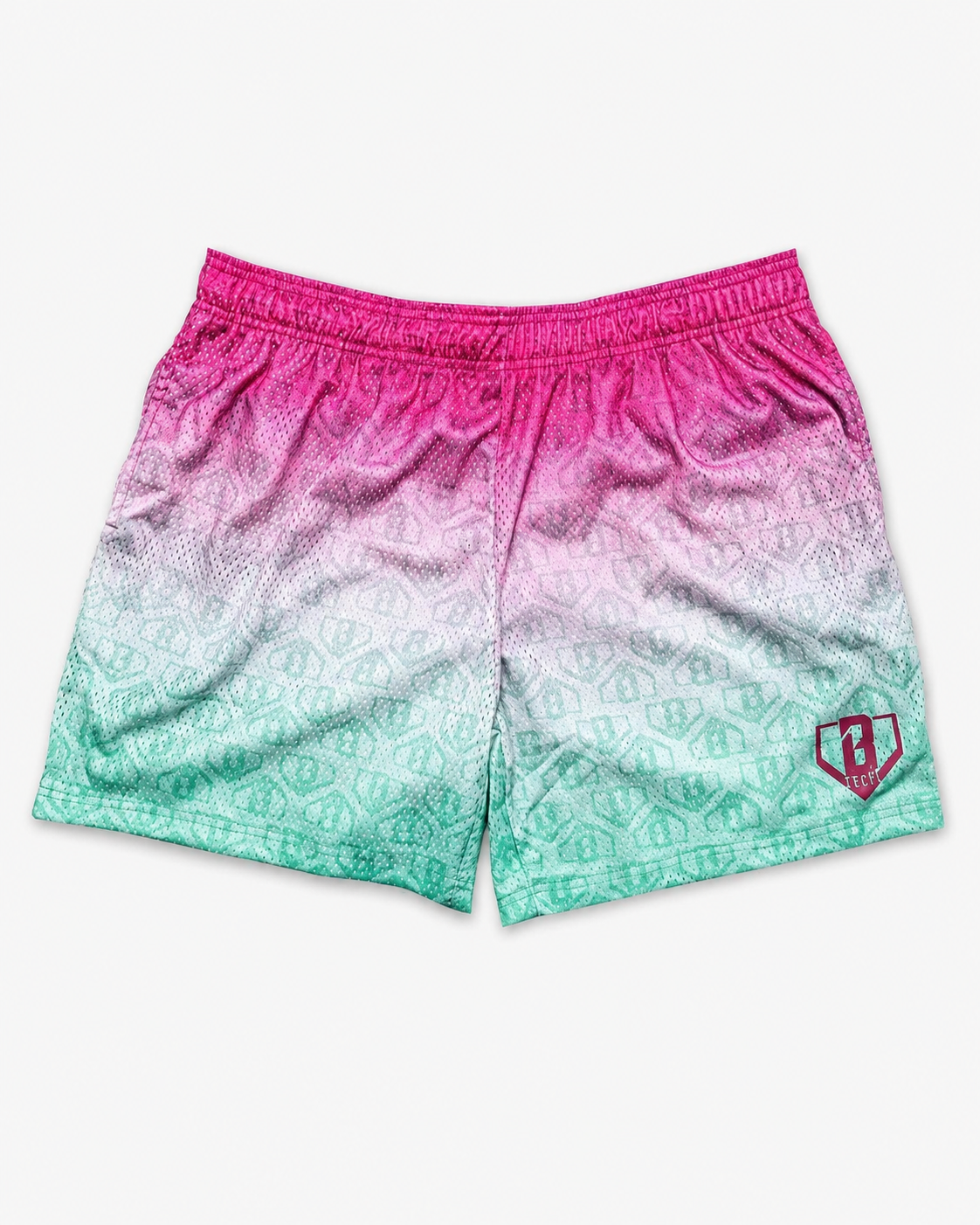 Curve Fit Printed Mesh Shorts for Women